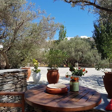 Andromeda Ξενοδοχείο Εξάμπελα Εξωτερικό φωτογραφία