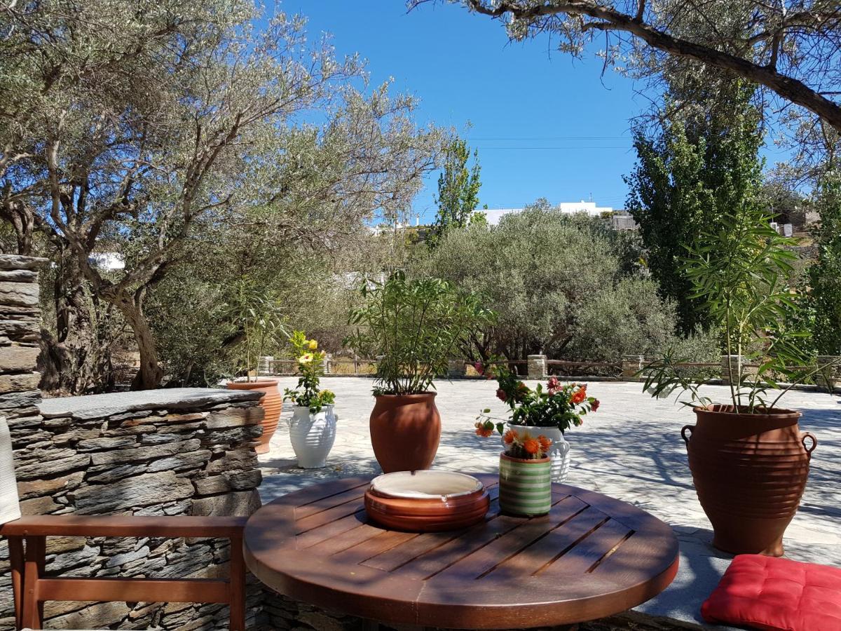 Andromeda Ξενοδοχείο Εξάμπελα Εξωτερικό φωτογραφία