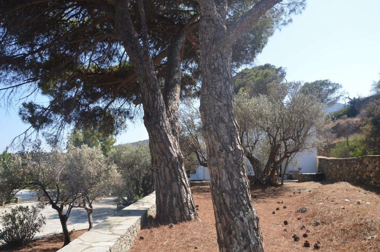 Andromeda Ξενοδοχείο Εξάμπελα Εξωτερικό φωτογραφία