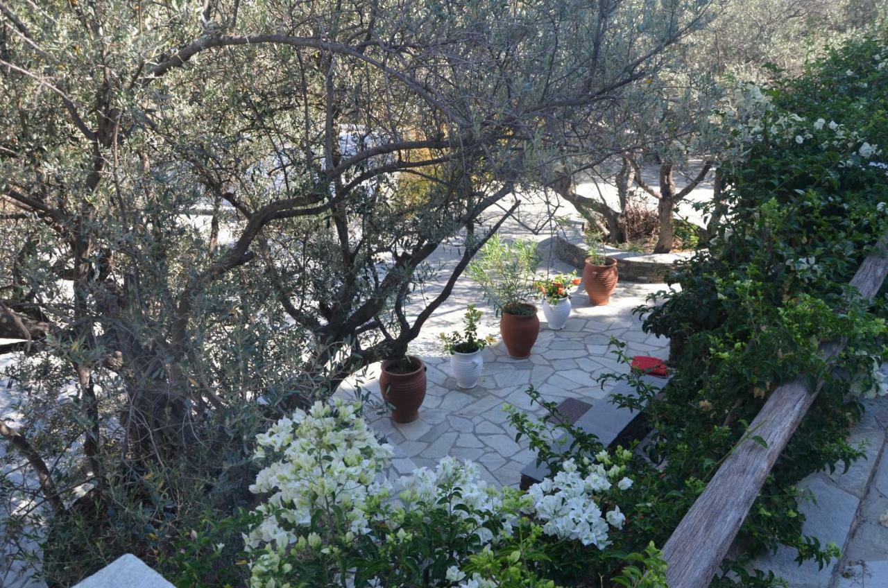 Andromeda Ξενοδοχείο Εξάμπελα Εξωτερικό φωτογραφία