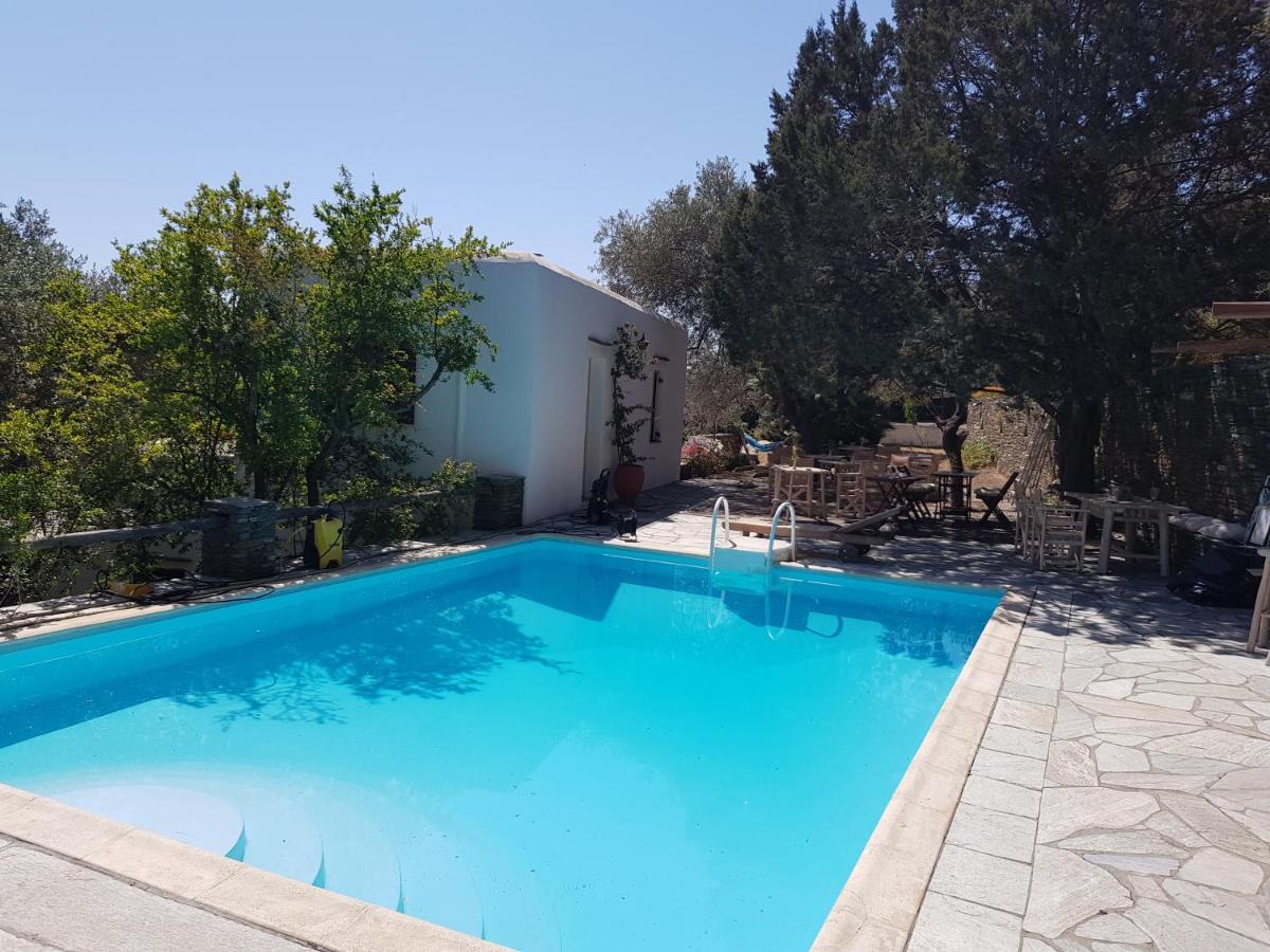 Andromeda Ξενοδοχείο Εξάμπελα Εξωτερικό φωτογραφία